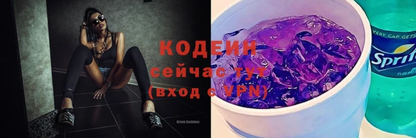 гашик Пересвет