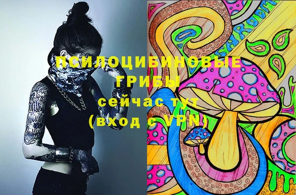 COCAINE Белокуриха