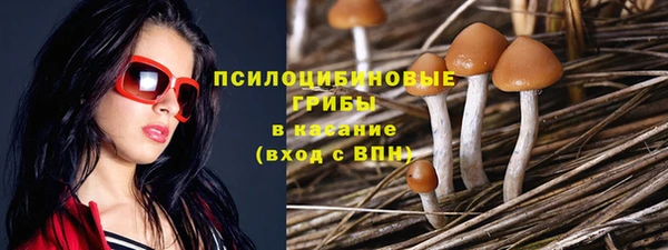 PSILOCYBIN Белоозёрский